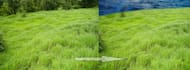 do photoshop editing and retouching