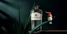 do bottle label design for tequila vodka whiskey gin liquor beer wine rum mezcal