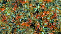 create a unique and abstract background without ai