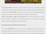 be your content writer, blog post writer