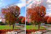 remove and replace background, people and sky from images