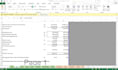prepare financial statements, ratios analysis, and financial reviews