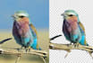 do background remove fast delivery within 1 hours