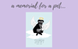 digitally draw your pet