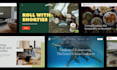 design and build a modern, bold website