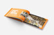 create innovative coffee table book and recipes book