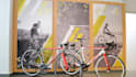 create outstanding roller banners or large format designs