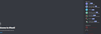 do the best and custom discord server