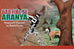 design Conceptual Digital Poster
