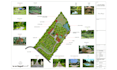 design a stunning garden layout for your home
