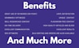 write crypto, nft, metaverse, blockchain SEO articles, blogs