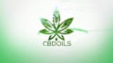 create a elegant nature logo animation with full HD