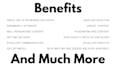 write professional SEO articles and blog posts for you