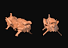 sculpt highly detailed 3d models that are 3d print ready