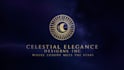 design a professional logo