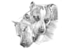 draw your pet into sketch art portrait