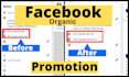 be your expert facebook manager and organic promoter