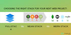 do mean, mern, full stack web application development