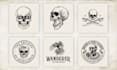 draw a skull illustration logo in my style