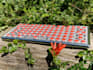 design a mechanical keyboard pcb