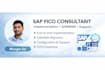 be your sap fico consultant