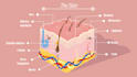 do professional medical illustrations