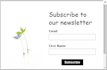 integrate mailchimp with wordpress wix squarespace website