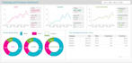 provide exclusive looker studio consultation