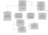 perform modern analysis for you
