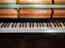 be your pianist and record a piano or keyboard track