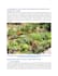 create SEO gardening, horticulture and hydroponics blogs