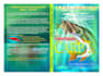 create an amazing book cover