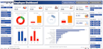 do professional excel dashboard with graphical visualization