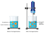 do detailed scientific figures illustrations and diagrams