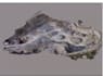 process drone uav images to generate points cloud