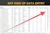 complete all types of data entry work for you