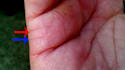 do intuitive and accurate palm reading or palmistry