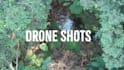 do professional video editing for you