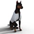make clothes virtual pets such daz dog eight