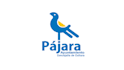 create stunning logo design and animation for your brand