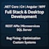 be your perfect expert full stack web application developer