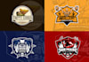 do professional mascot logo