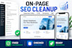 optimize wix website and implement on page SEO audit fixes
