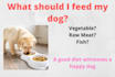 write an eye catching article and blog about dogs