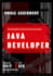 develop professional java application