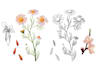 create custom botanical illustrations