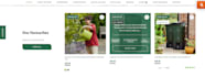 design or redesign webflow website