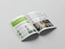 design a professional print and digital catalog from scratch