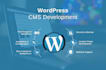 help you with wordpress