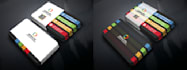 design business card with two concepts
